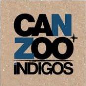 Indigos
