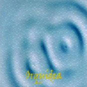 Translúcido