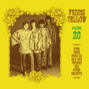 Fading Yellow Vol 20