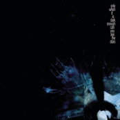 Only When Its Dark Enough Can You See The Stars