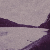 rotting in comfort - Single