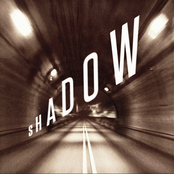 Shadow by Little Barrie