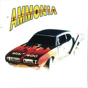Face Down by Ammonia