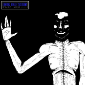 IMMORAL HUMAN TAXIDERMY FLIP MIX