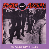 Sixties Archives, Vol. 5: U.S. Punk from the 60's