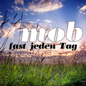 Fast jeden Tag