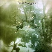 Everyone's Gone To War by Fresh Maggots