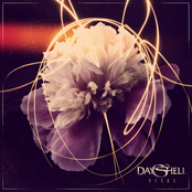 Dayshell: Nexus