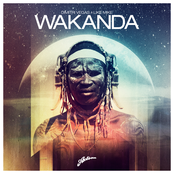 Wakanda (radio Edit) by Dimitri Vegas & Like Mike