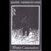Winter Camaraderie