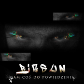 Mam coś do powiedzenia