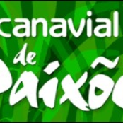 canavial de paixões