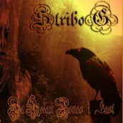 Za Vjeèan Ponos I Èast