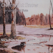 Overnight Snow