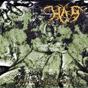 Hemorrhoidal Anal Suffering / Vomitbreath Ejaculator