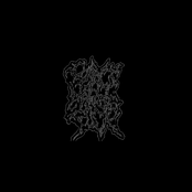 Cunt Fart Minge Fuck Discography