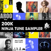 200k Ninja Tune Sampler