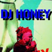 DJ Honey: Renegade Seeks No Shelter (Demo)