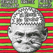 12 Heads No Brains
