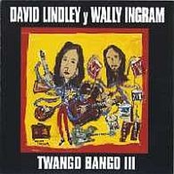 The Johnson Boys by David Lindley & Wally Ingram