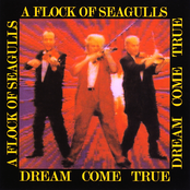 Hot Tonight by A Flock Of Seagulls