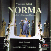Bellini: Norma