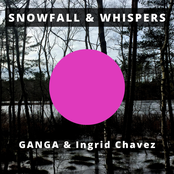 Snowfall & Whispers