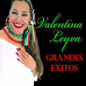 Grandes Exitos