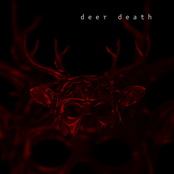 deer death