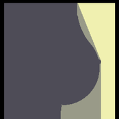 I'll Have You Naked By the End of This ROM+