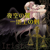夜空の翼ー地上の剣