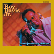 I Love U by Roy Davis Jr.