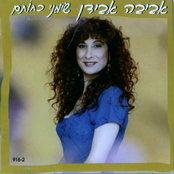 שימני כחותם