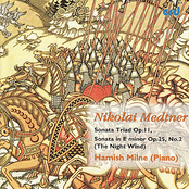 Medtner: Piano Music Vol. 2