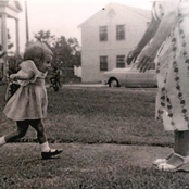 The Brazen Youth: The Ever Dying Bristlecone Man