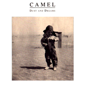 Sheet Rain by Camel