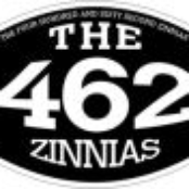 the 462nd zinnias