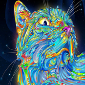 No Role Modelz (Slowed)