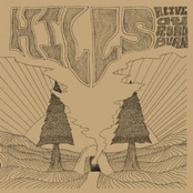 Alive at Roadburn