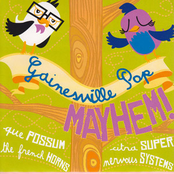 Gainesville Pop Mayhem!