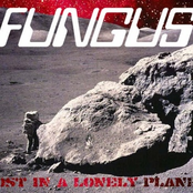 Lost In A Lonely Planet