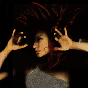Tori Amos: From the Choirgirl Hotel