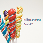 Wild Card by Wolfgang Gartner