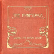 Algebra For Broken Hearts