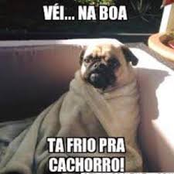 so mais um dia pra prencher o calendario