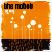 Push by The Motet