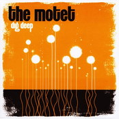 Guru by The Motet