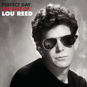 Lou Reed: Perfect Day