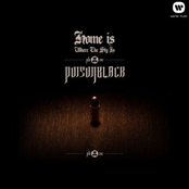 Home Is Where The Sty Is