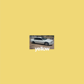 Cam Meekins: Yellow